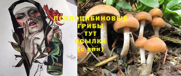 амфетамин Арсеньев