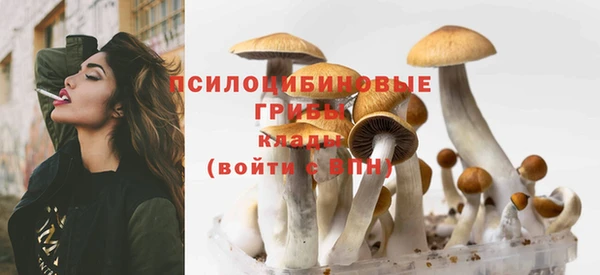герыч Аркадак