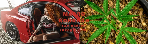 индика Баксан